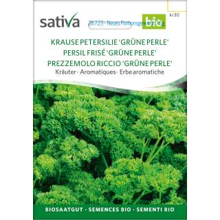 Petersilie, gekraust Grüne Perle - Petroselinum crispum - BIOSAMEN