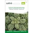 Federkohl, Grünkohl Westländer Winter - Brassica oleracea var. sabellica - Demeter Biologische Samen