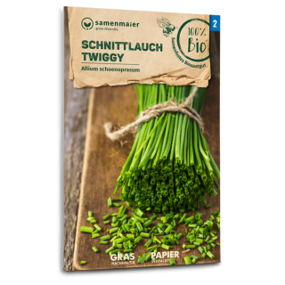 Schnittlauch Twiggy - Allium schoenoprasum - BIOSAMEN