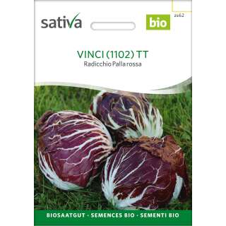 Radicchio Palla rossa Vinci TT - Cichorium endivia -...