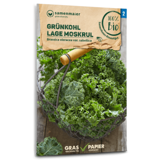 Grünkohl, Federkohll Lage Moskrul (niedriger krauser) - Brassica oleracea var. sabellica - Biosamen