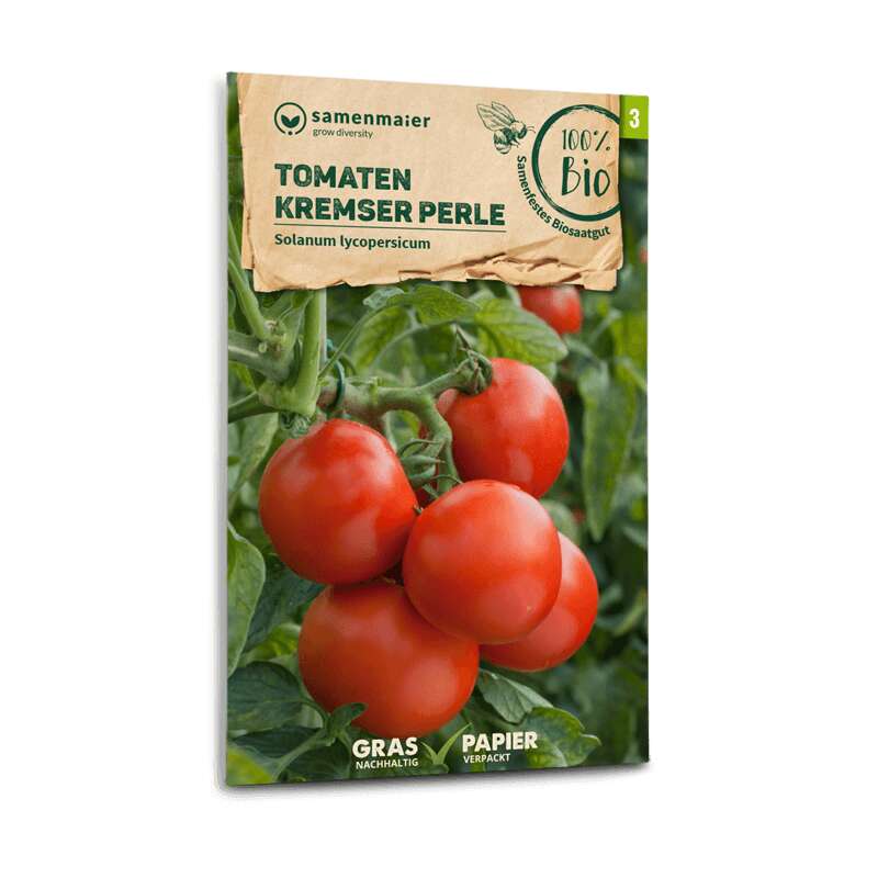 Tomate, Buschtomate Kremser Perle - Solanum lycopersicum - BIOSAMEN