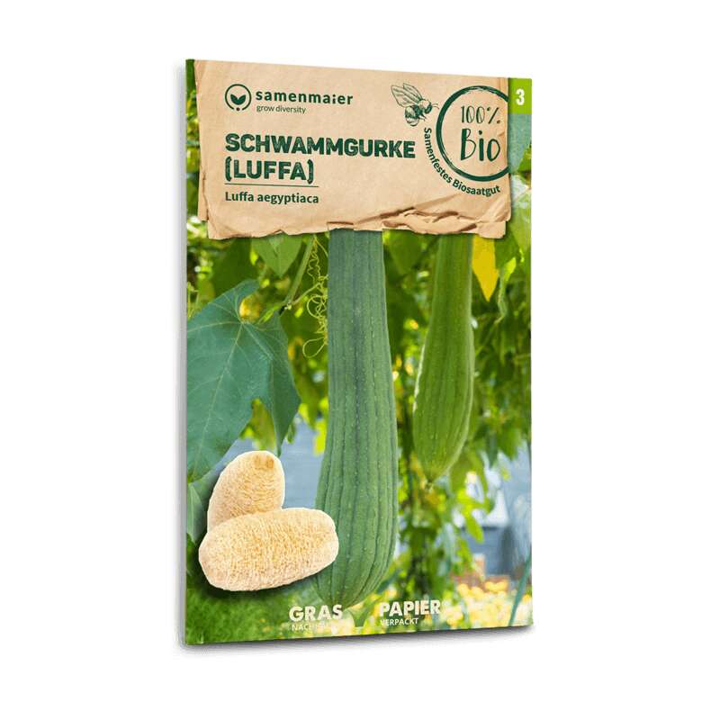 Schwammgurke - Luffa aegyptiaca - BIOSAMEN
