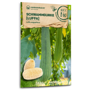 Schwammgurke - Luffa aegyptiaca - BIOSAMEN