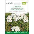 Schafgarbe - Achillea millefolium - Biosamen