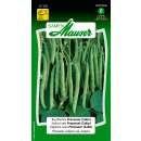 Buschbohne Processor (Sabo) - Phaseolus vulgaris ssp. Vulgaris - Samen