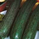Zucchetti, Zucchini All Green Bush - Cucurbita pepo - Samen