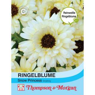 Ringelblume Snow Princess - Calendula officinalis - Samen