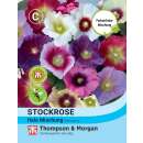 Malve, Stockrose Halo Mixed - Alcea rosea - Samen