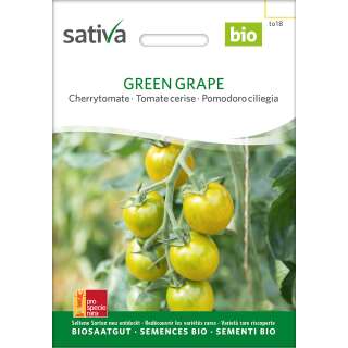 Tomate, Cherrytomate Green Grape - Lycopersicon esculentum -Bio-Samen