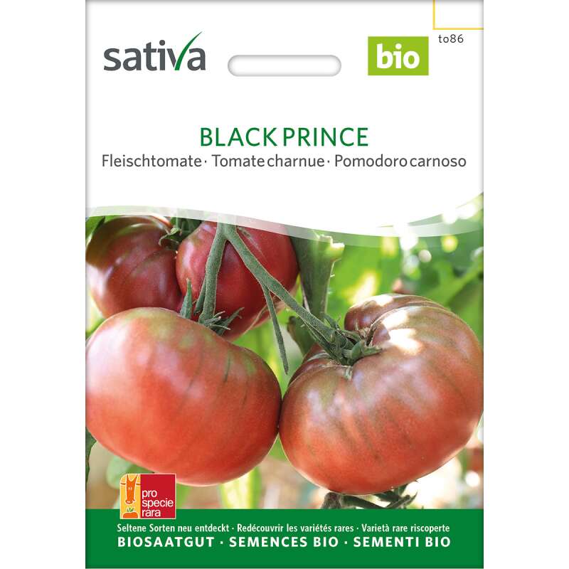Tomate, Fleischtomate Black Prince - Lycopersicon esculentum -Bio-Samen