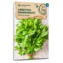 Liebstock, Maggikraut - Levisticum officinalis - BIOSAMEN