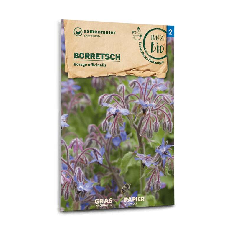 Borretsch, Gurkenkraut - Borago officinalis - BIOSAMEN