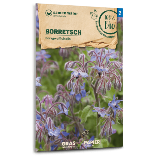 Borretsch, Gurkenkraut - Borago officinalis - BIOSAMEN