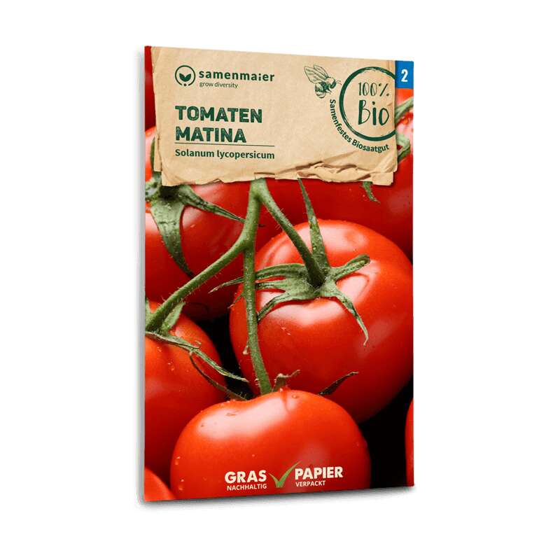 Tomate Matina - Solanum Lycopersicum - BIOSAMEN