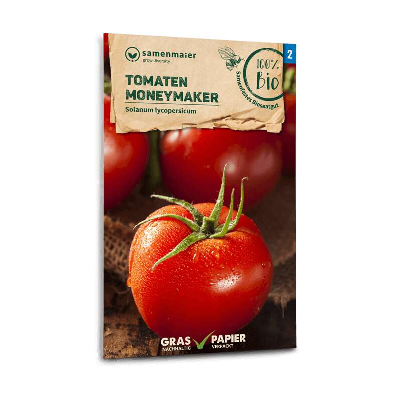 Tomate 200 Samen Gemüse Moneymaker