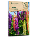 Lupine - Lupinus polyphyllus - BIOSAMEN
