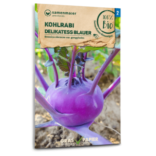 Kohlrabi Delikatess blauer - Brassica oleracea var....
