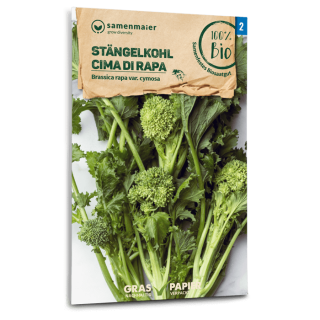 Stengelkohl Cima di Rapa - Brassica rapa var. cymosa  -...