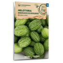 Melothria, mexikanische Minigurke -  Melothria scabra  -...
