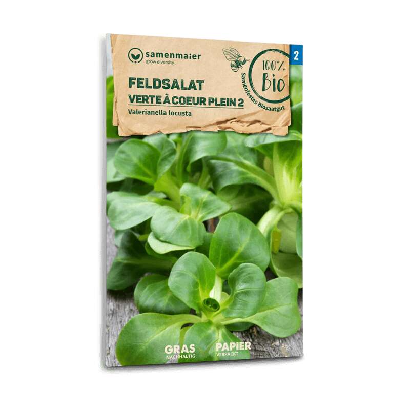 Feldsalat, Nüsslisalat Verte à coeur plein 2 - Valerianella locusta - BIOSAMEN