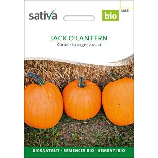 Kürbis Jack OLantern - Cucurbita pepo - Demeter biologische Samen