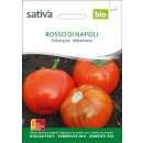 Aubergine Rosso di napoli - Solanum aethiopicum -- BIOSAMEN