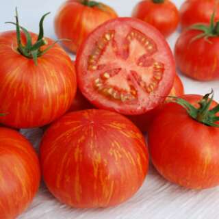 Tomate Wagner Skyreacher  - Solanum lycopersicum - Tomatensamen