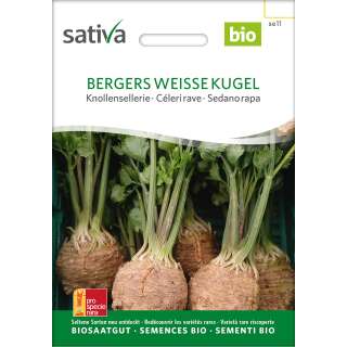 Knollensellerie Bergers weisse Kugel - Apium graveolens var. rapaceum - Samen -