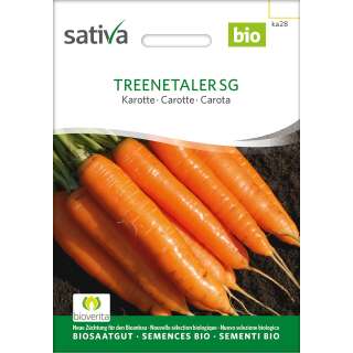 Karotte Treenetaler SG - Daucus carota - BIOSAMEN