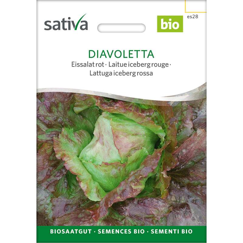 Eissalat Diavoletta - Lactuca sativa  - DEMETERSAMEN