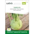 Kohlrabi, weiss Dario KS (Sat 22) - Brassica ol. aceph....