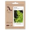 Asia Salat Mitsuna - Brassica rapa ssp. chinensis - BIOSAMEN