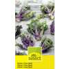 Flower Sprout - Brassica oleracea - Samen