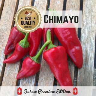 Chili Chimayo - Capsicum annuum - Samen
