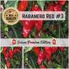 Chili Habanero Red #3 - Capsicum chinense - Samen