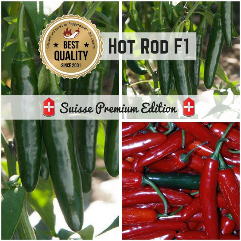 Chili Hot Rod F1 - Capsicum annuum - Samen