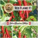 Chili Red Flame F1 - Capsicum annuum - Samen