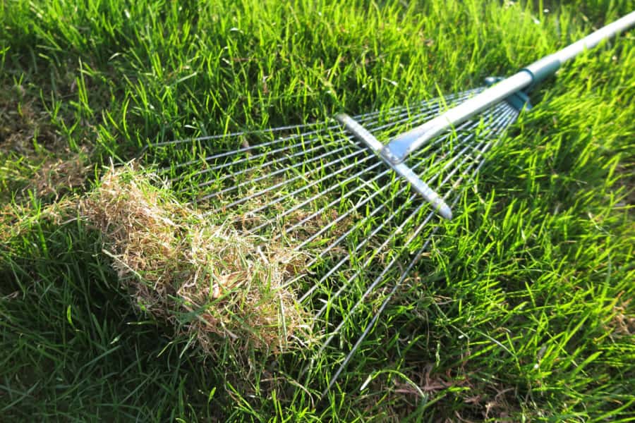 Werkzeuge zur Rasenpflege