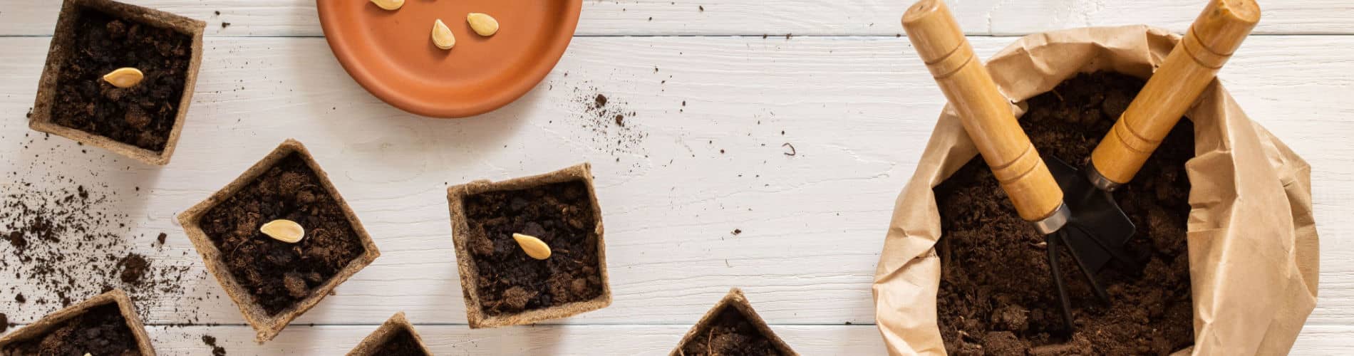 Pflanzerde: richtige Blumen- und Gartenerde wählen und richtig lagern