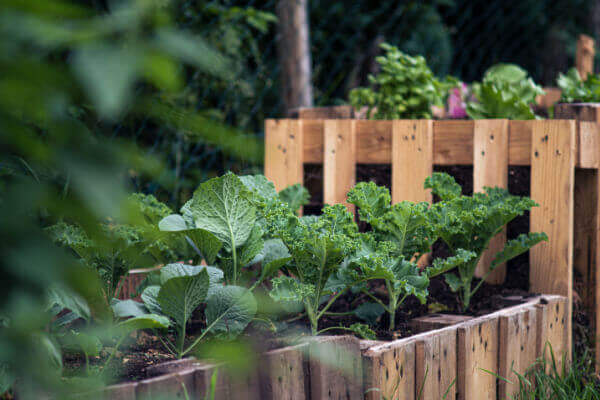 Selbstgebautes Hochbeet aus Holz