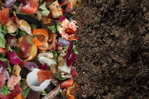 Aus Küchenabfällen wird Kompost