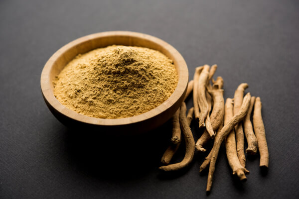 Ashwagandha Pulver der Wurzeln