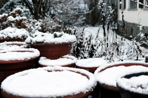 Schneebedeckte Töpfe