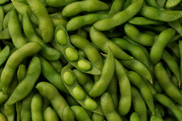 Frische Edamame-Schoten