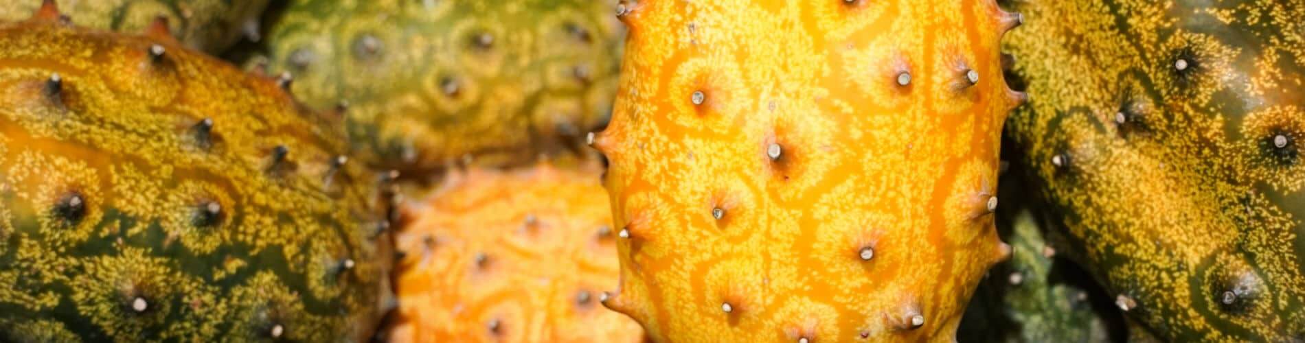 Kiwano