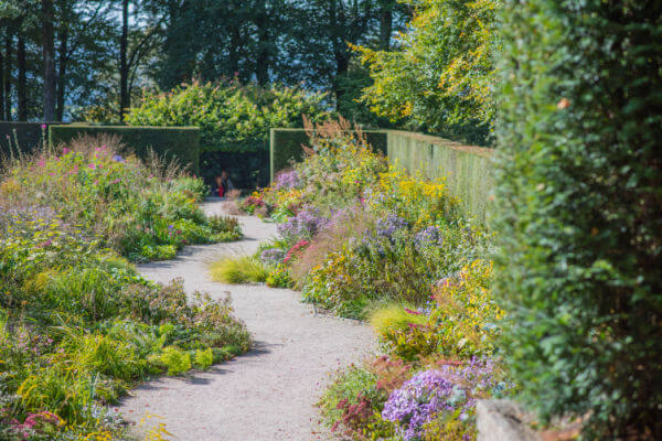 Naturbelassener Garten