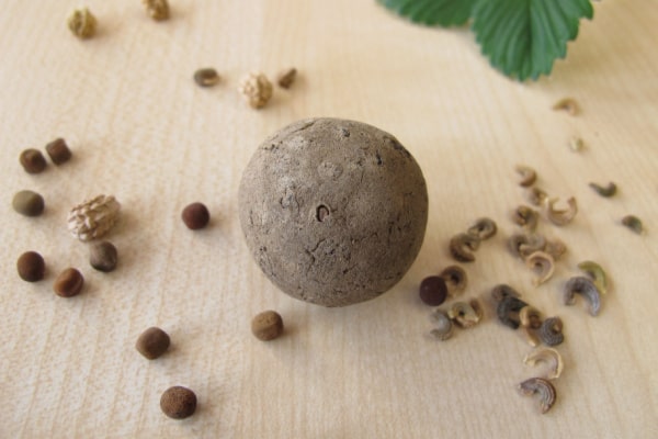 Fertiger, getrockneter Seedball