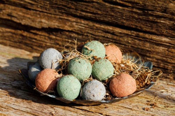 Farbige Seedballs in Teller