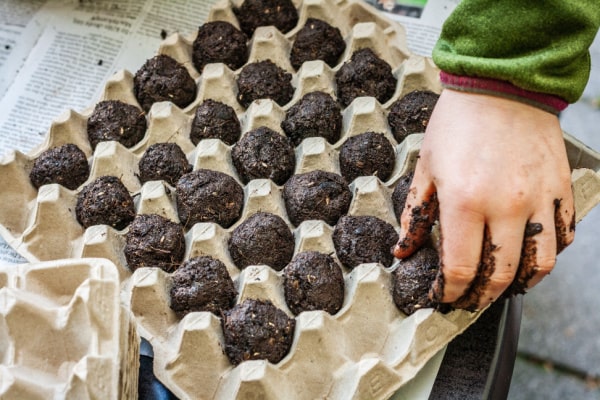 Trocknen von Seedballs